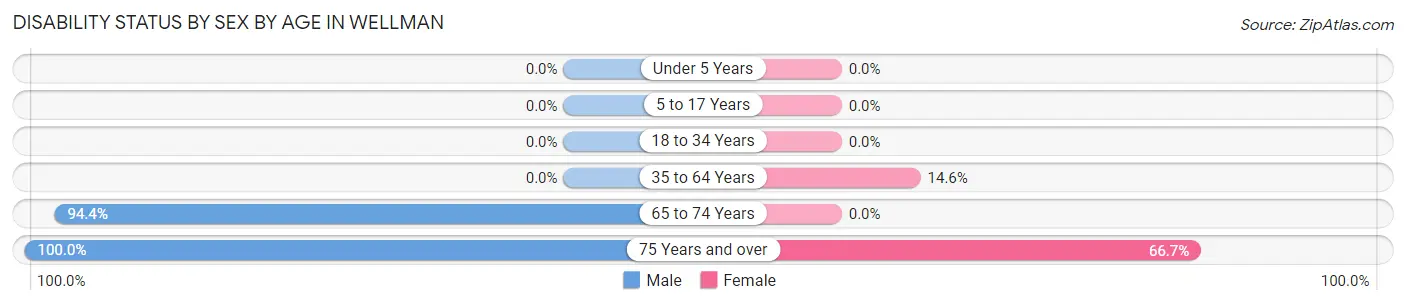 Disability Status by Sex by Age in Wellman