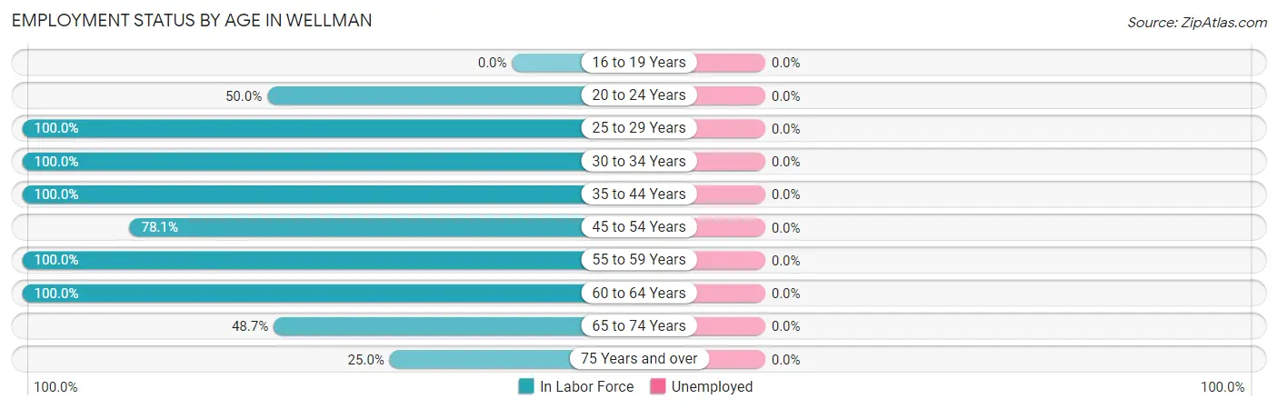 Employment Status by Age in Wellman