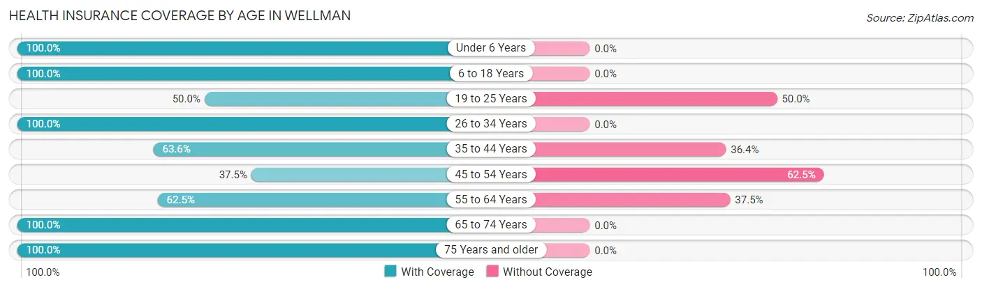 Health Insurance Coverage by Age in Wellman