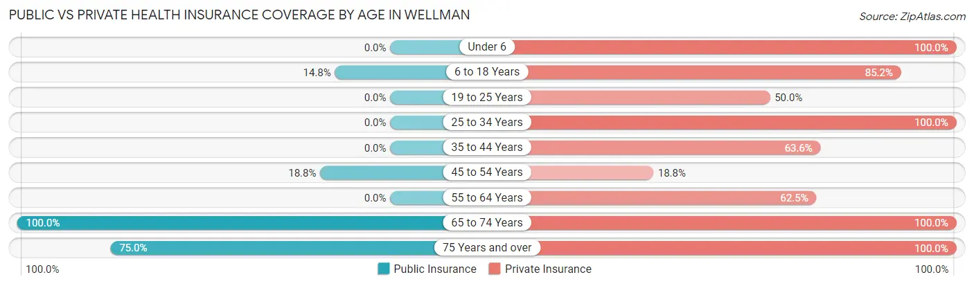 Public vs Private Health Insurance Coverage by Age in Wellman