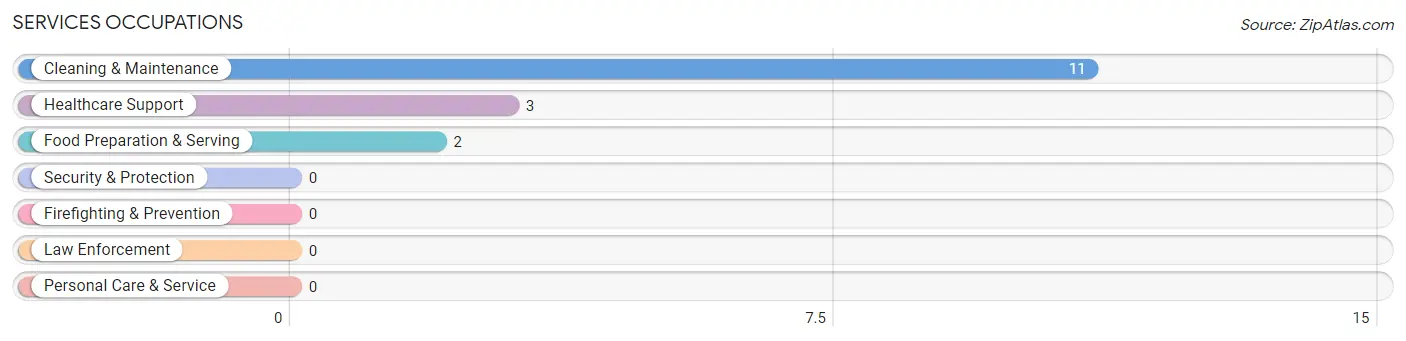 Services Occupations in Wellman