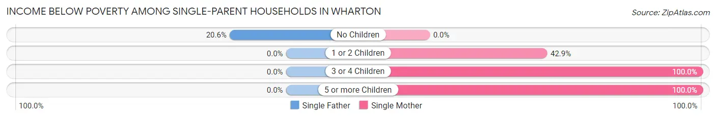 Income Below Poverty Among Single-Parent Households in Wharton