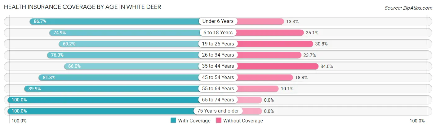 Health Insurance Coverage by Age in White Deer