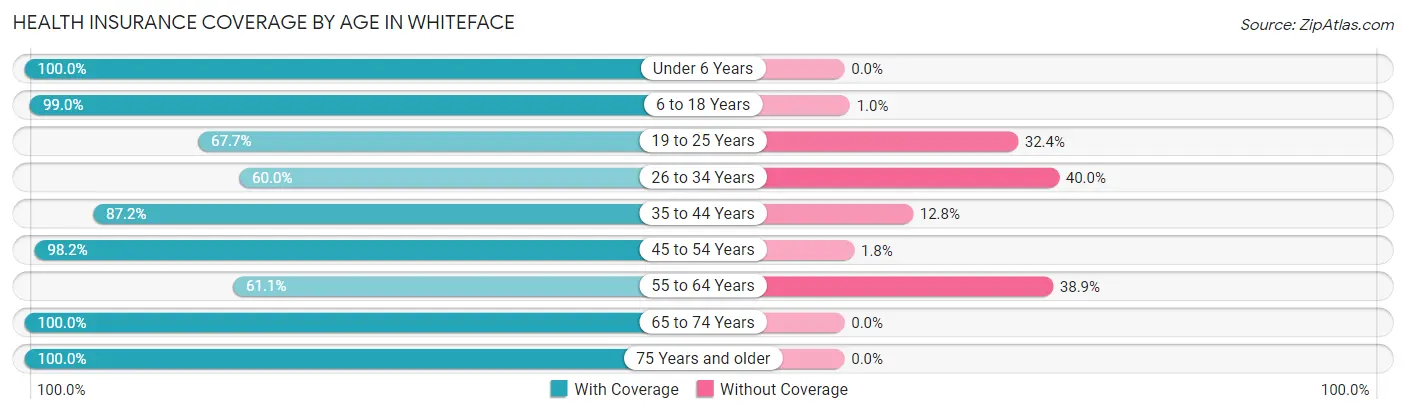 Health Insurance Coverage by Age in Whiteface