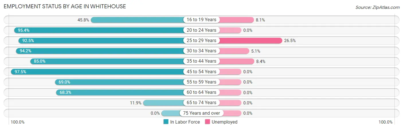 Employment Status by Age in Whitehouse