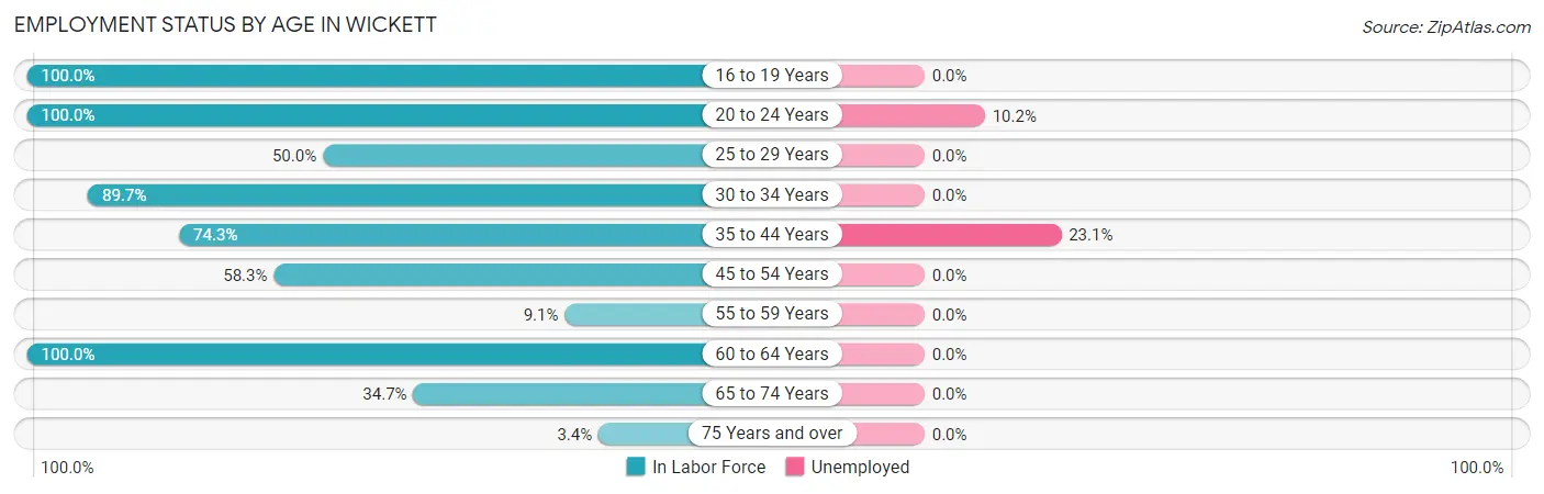 Employment Status by Age in Wickett
