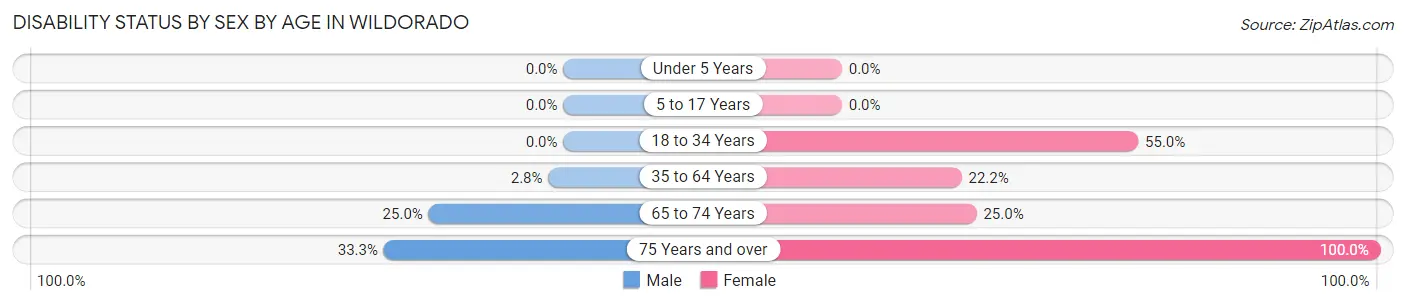 Disability Status by Sex by Age in Wildorado