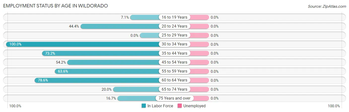 Employment Status by Age in Wildorado