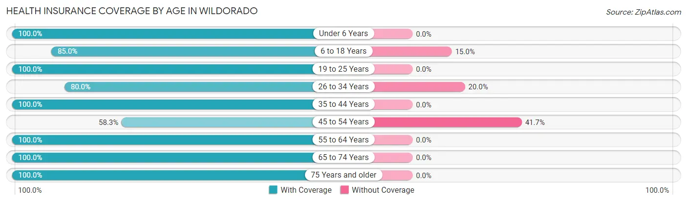 Health Insurance Coverage by Age in Wildorado