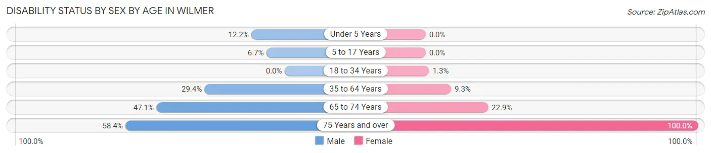 Disability Status by Sex by Age in Wilmer