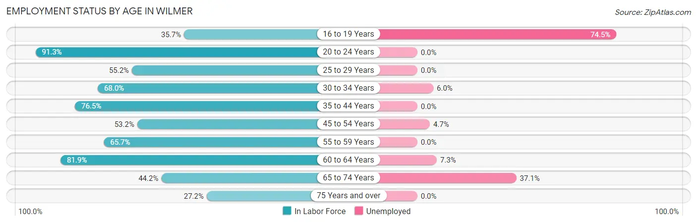 Employment Status by Age in Wilmer