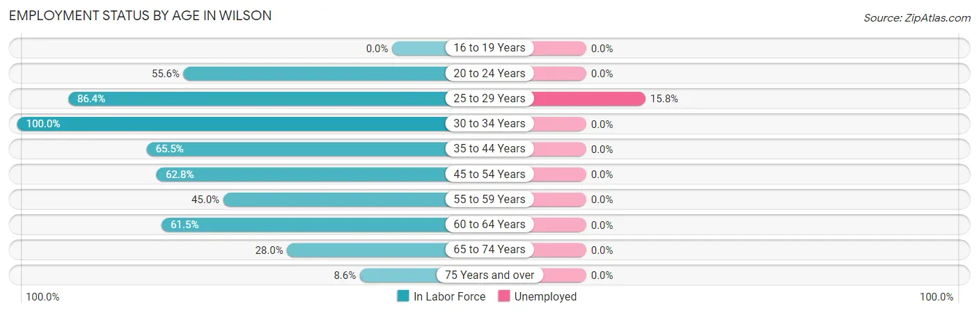 Employment Status by Age in Wilson