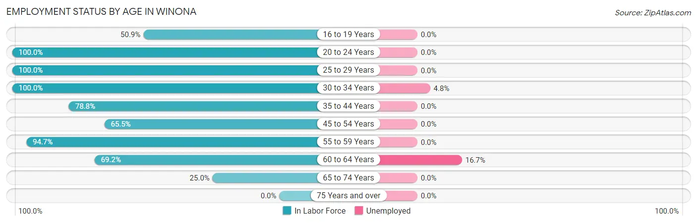 Employment Status by Age in Winona