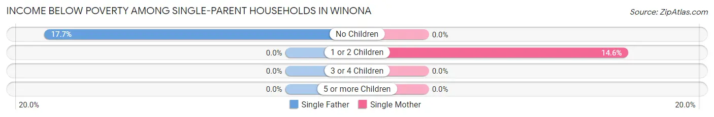 Income Below Poverty Among Single-Parent Households in Winona