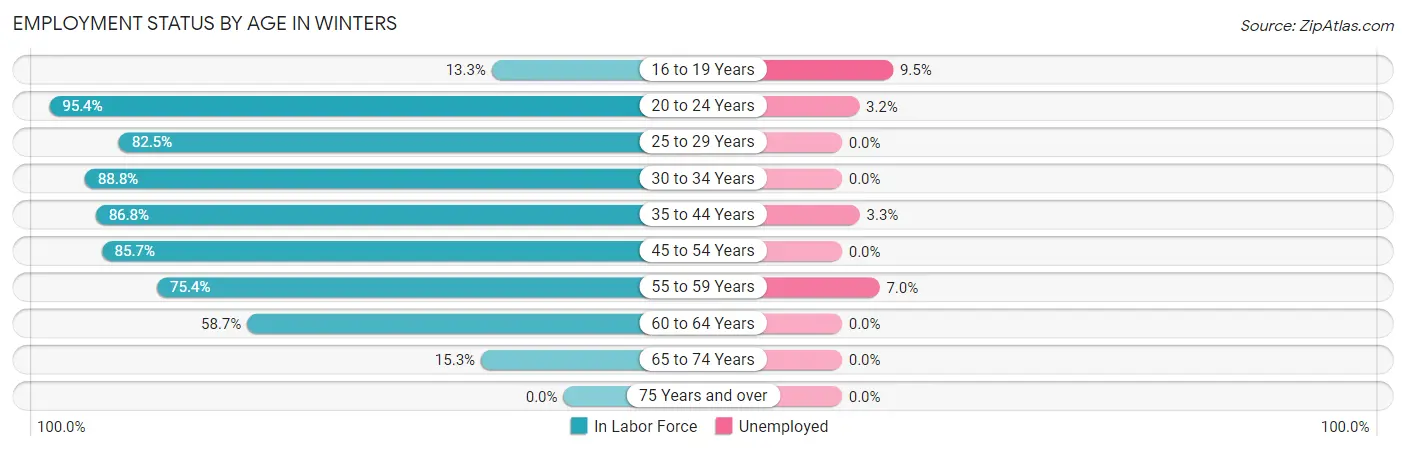 Employment Status by Age in Winters