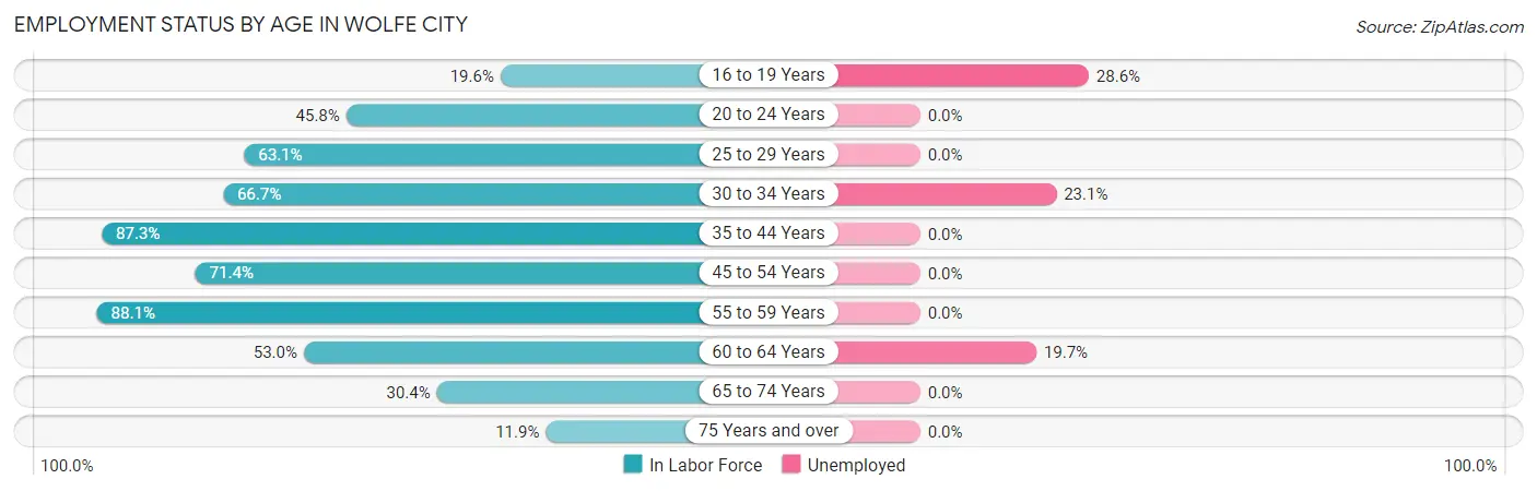 Employment Status by Age in Wolfe City