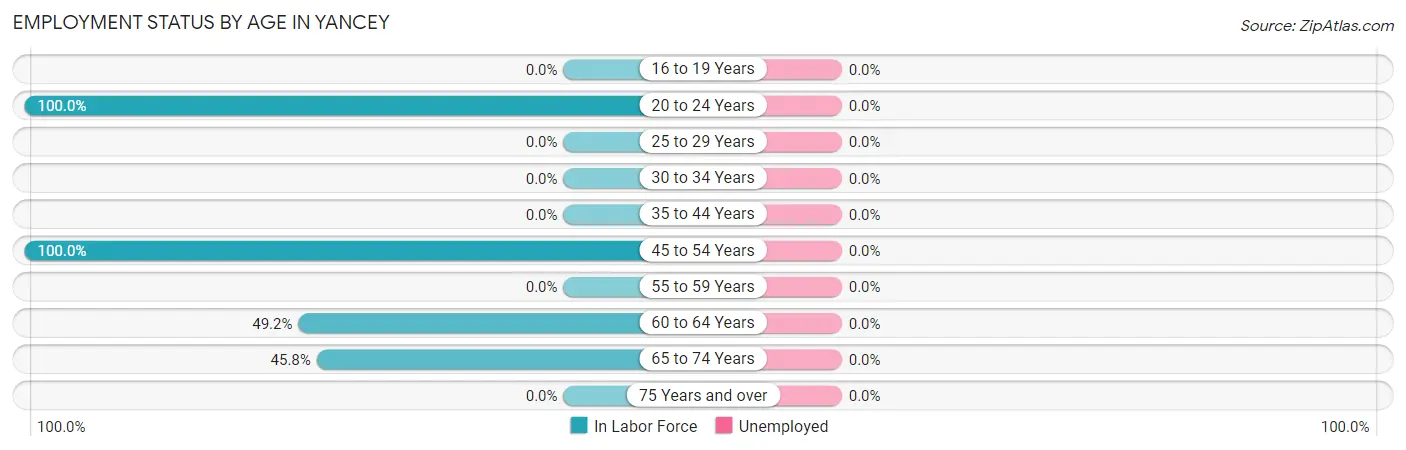 Employment Status by Age in Yancey