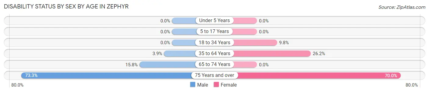 Disability Status by Sex by Age in Zephyr