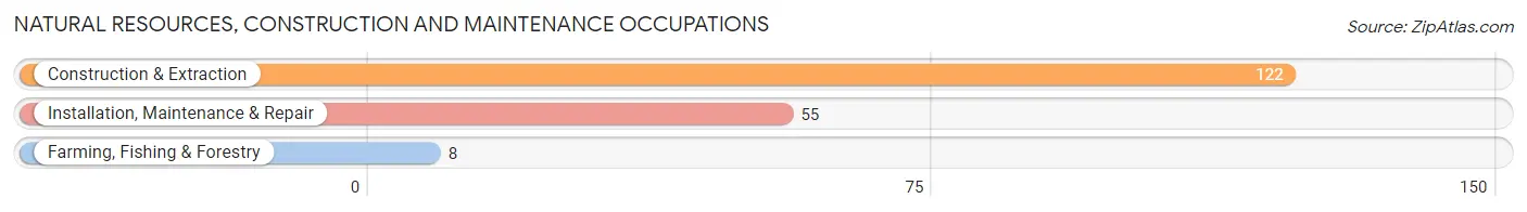 Natural Resources, Construction and Maintenance Occupations in Alpine