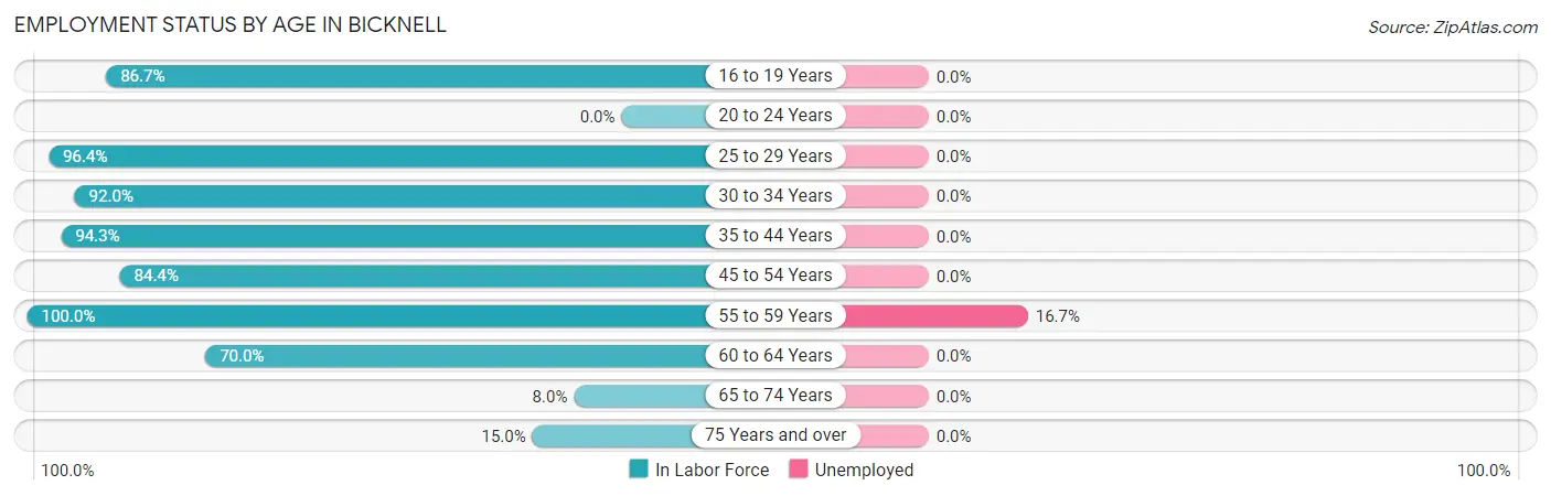 Employment Status by Age in Bicknell
