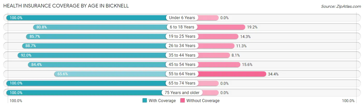 Health Insurance Coverage by Age in Bicknell