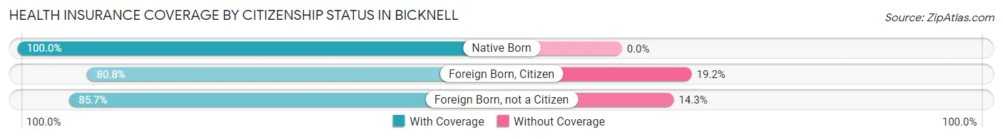 Health Insurance Coverage by Citizenship Status in Bicknell