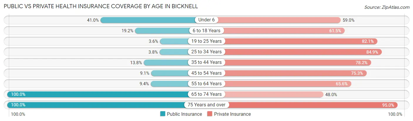 Public vs Private Health Insurance Coverage by Age in Bicknell