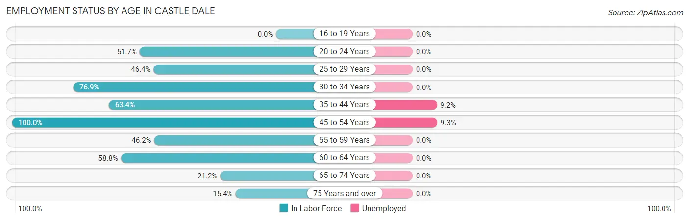Employment Status by Age in Castle Dale