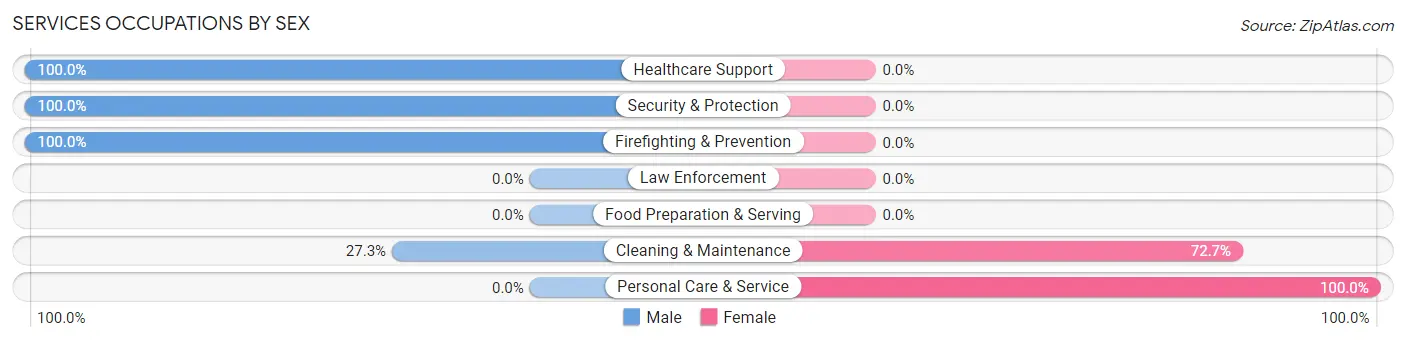 Services Occupations by Sex in Castle Dale