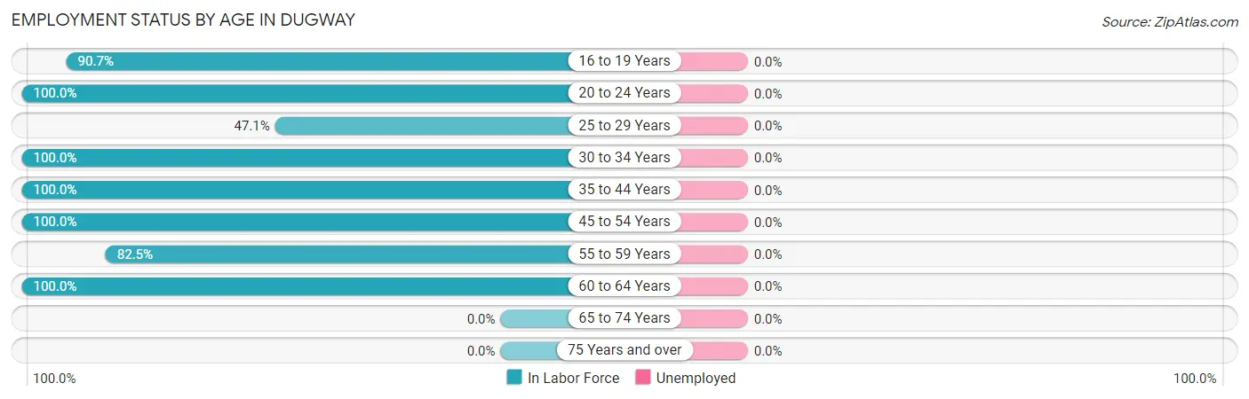 Employment Status by Age in Dugway
