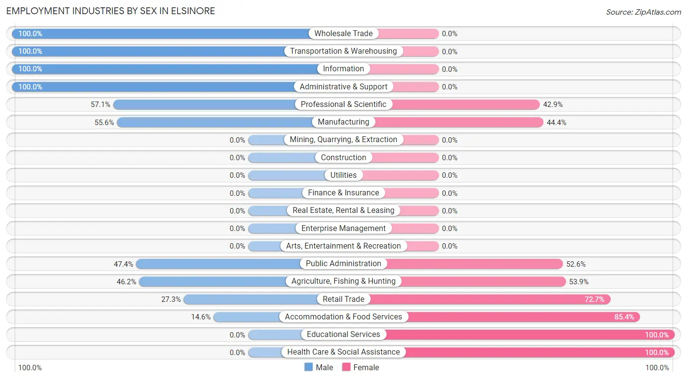 Employment Industries by Sex in Elsinore