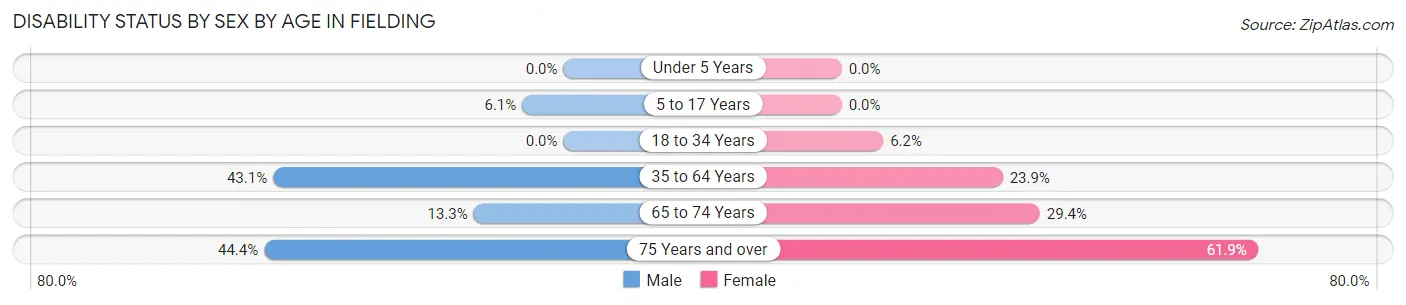 Disability Status by Sex by Age in Fielding