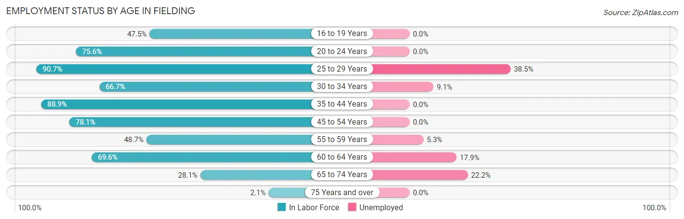 Employment Status by Age in Fielding