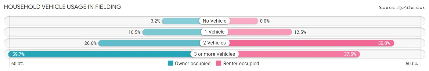 Household Vehicle Usage in Fielding