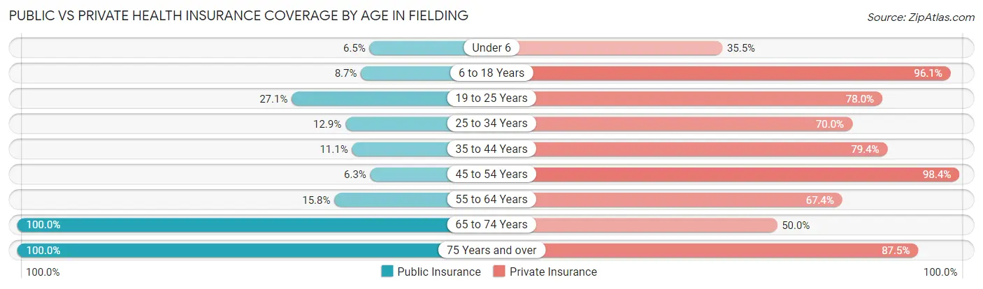 Public vs Private Health Insurance Coverage by Age in Fielding