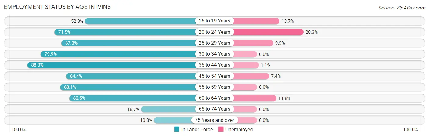 Employment Status by Age in Ivins