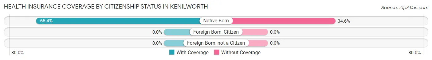 Health Insurance Coverage by Citizenship Status in Kenilworth
