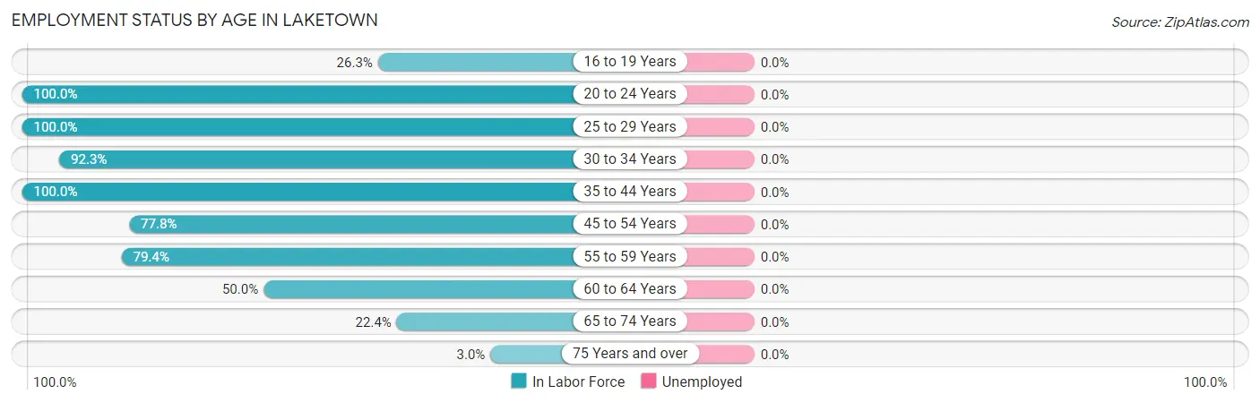 Employment Status by Age in Laketown