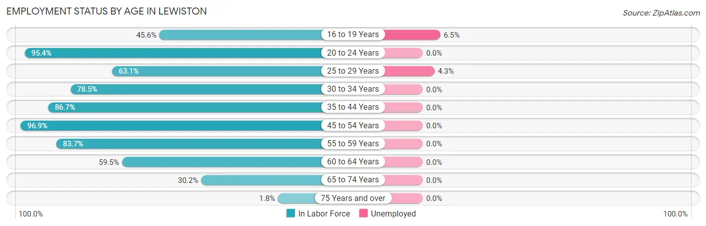 Employment Status by Age in Lewiston