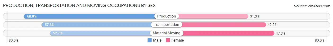 Production, Transportation and Moving Occupations by Sex in Lewiston