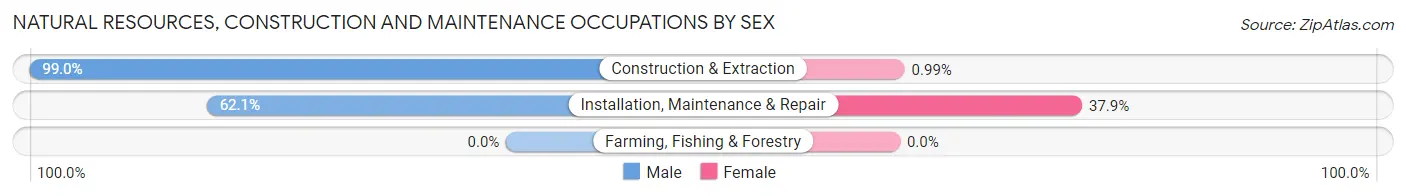 Natural Resources, Construction and Maintenance Occupations by Sex in Lindon