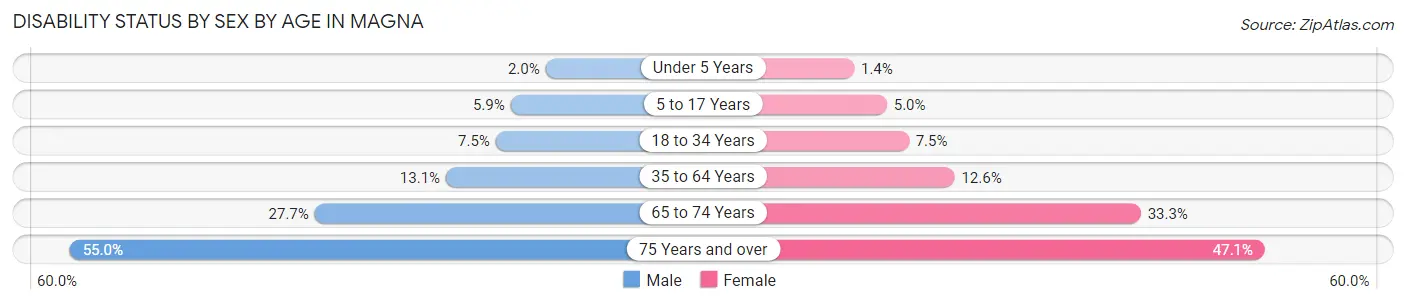Disability Status by Sex by Age in Magna