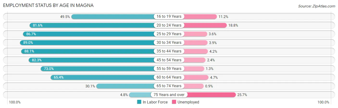 Employment Status by Age in Magna