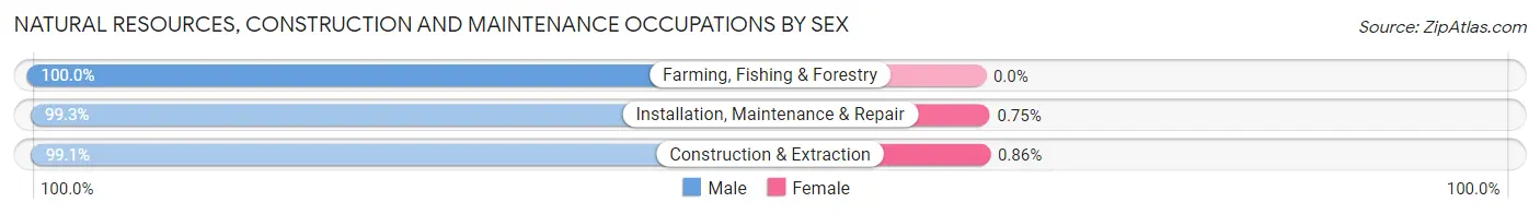 Natural Resources, Construction and Maintenance Occupations by Sex in Magna