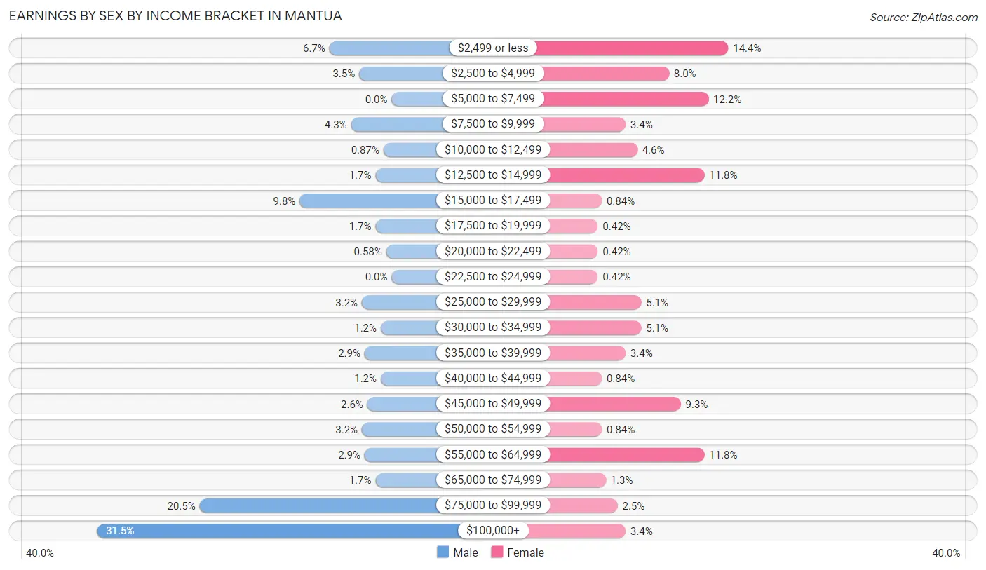 Earnings by Sex by Income Bracket in Mantua