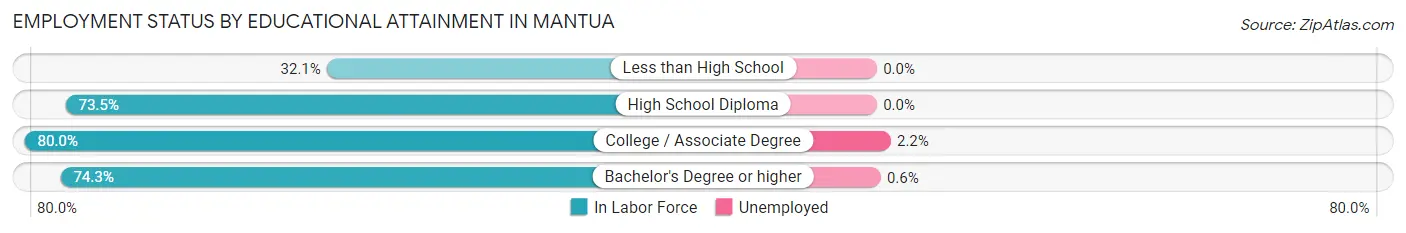 Employment Status by Educational Attainment in Mantua