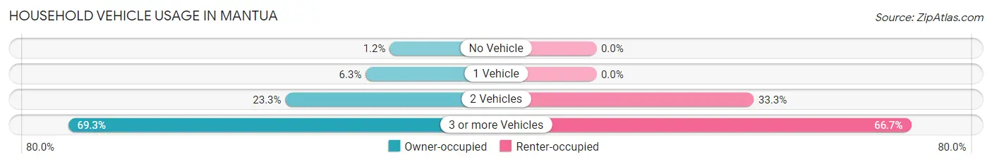 Household Vehicle Usage in Mantua