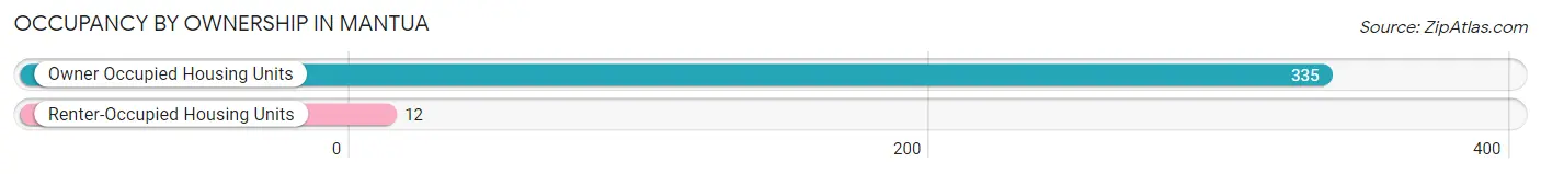 Occupancy by Ownership in Mantua