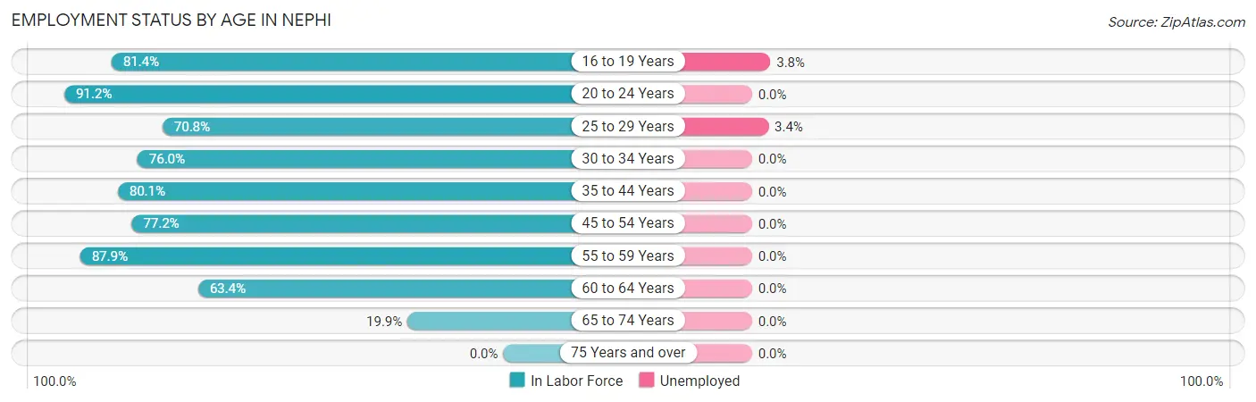 Employment Status by Age in Nephi