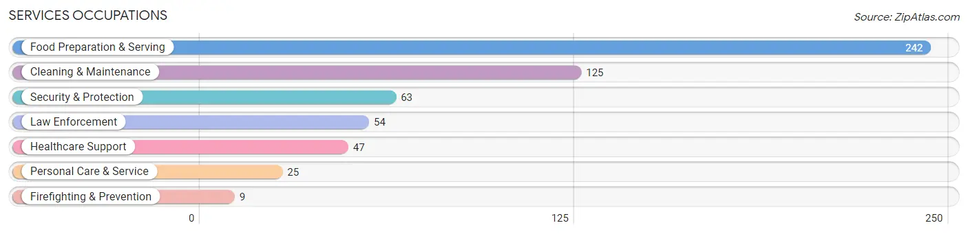 Services Occupations in Nephi